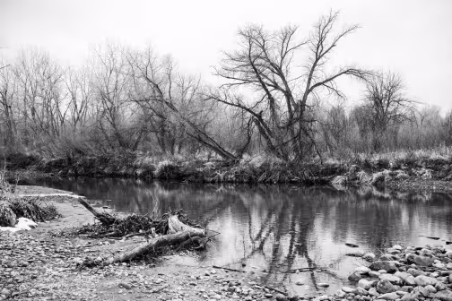 Snaggy Slough