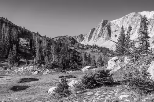 Snowy Range Valley