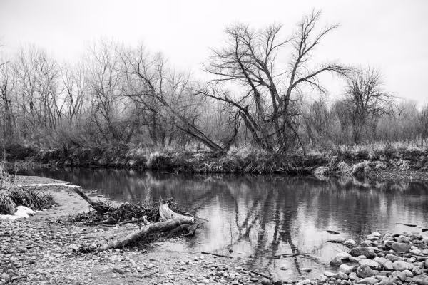 Snaggy Slough