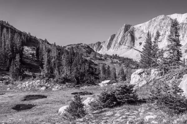 Snowy Range Valley